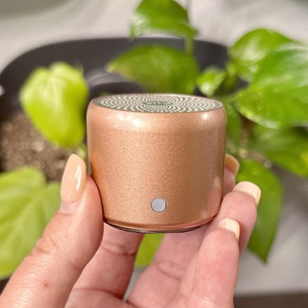 The littlest speaker is back on deal 👇! Super compact, waterproof and have great sound! Awesome under $20ish grad gift!!! Ours is the Rose Gold, but the color looks a little weird because there was huge storm running through and my old house was like a cave! #ad

#LTKFindsUnder50 #LTKSaleAlert #LTKGiftGuide
