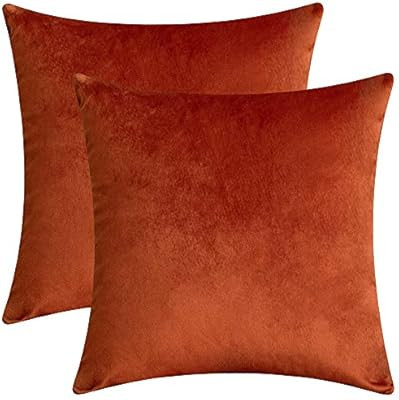 Rythome Set of 2 Comfortable Velvet Throw Pillow Cases Decorative Solid Cushion Covers for Sofa C... | Amazon (US)