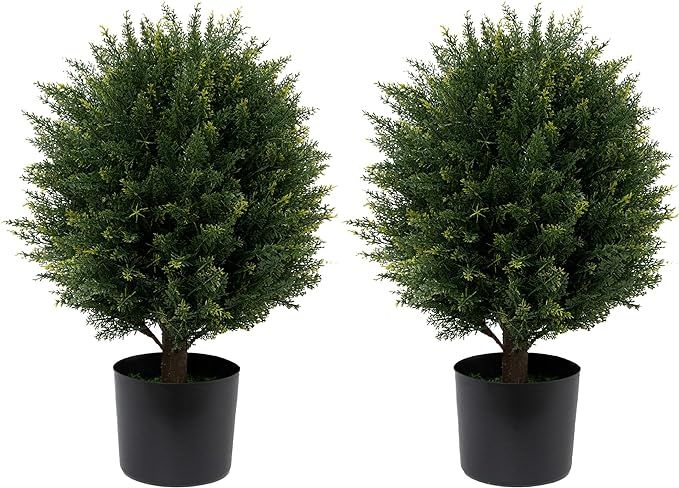 Artificial Cedar Topiary Ball Tree Two 22''T Artificial Pine Tree Potted Bushes UV Resistant Pott... | Amazon (US)