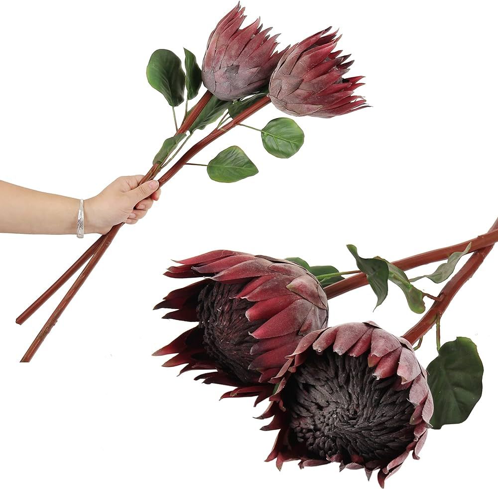 cn-Knight 4pcs Artificial Protea Flowers,26 Inch Super Long Stem Faux Protea Artificial Flowers, ... | Amazon (US)