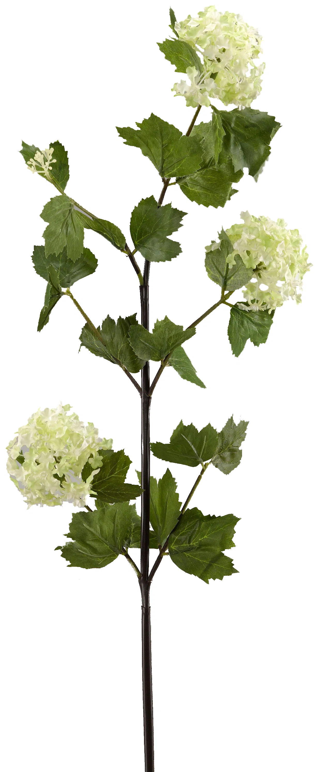 Snowball Spray Arrangement (Set of 3) | Wayfair North America