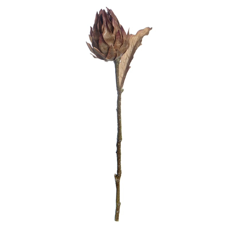 Brown Artichoke Stem, 19.5" | At Home