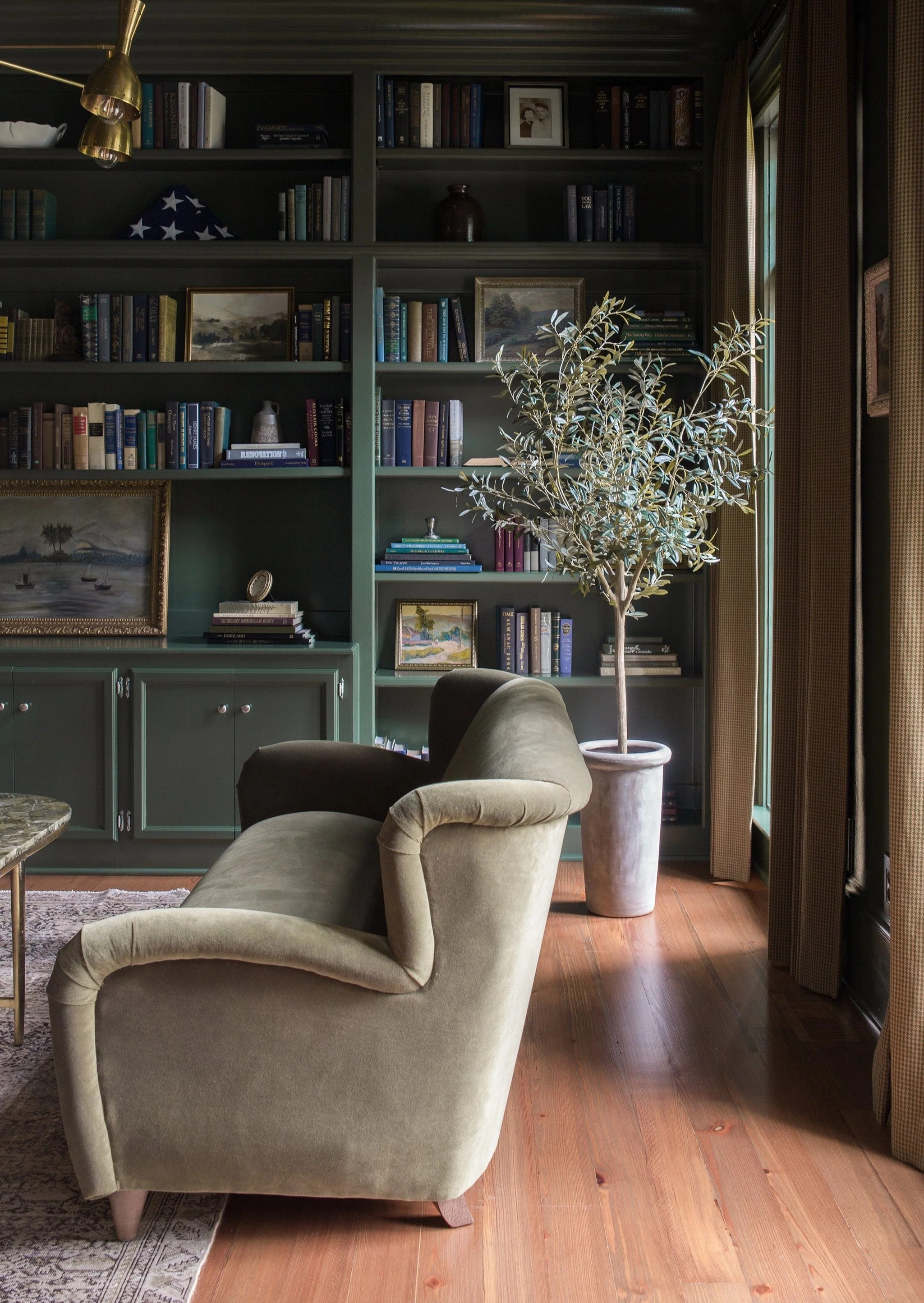 Faux Olive Tree Branch Potted Plant in Cement Pot - 72" | Afloral