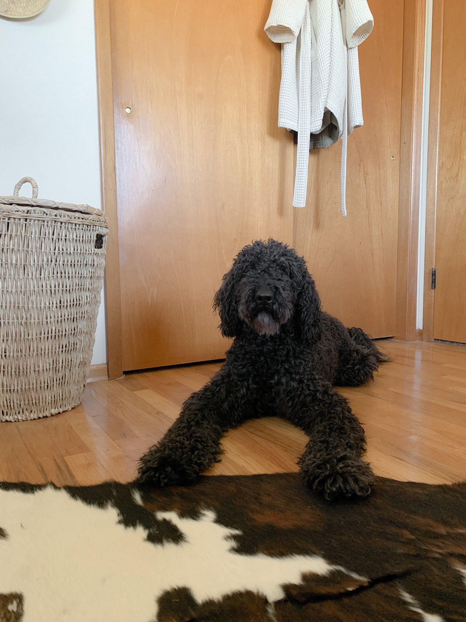 Linking cute cowhide rugs and storage baskets from Target! 🤎

#LTKstyletip #LTKhome #LTKFind