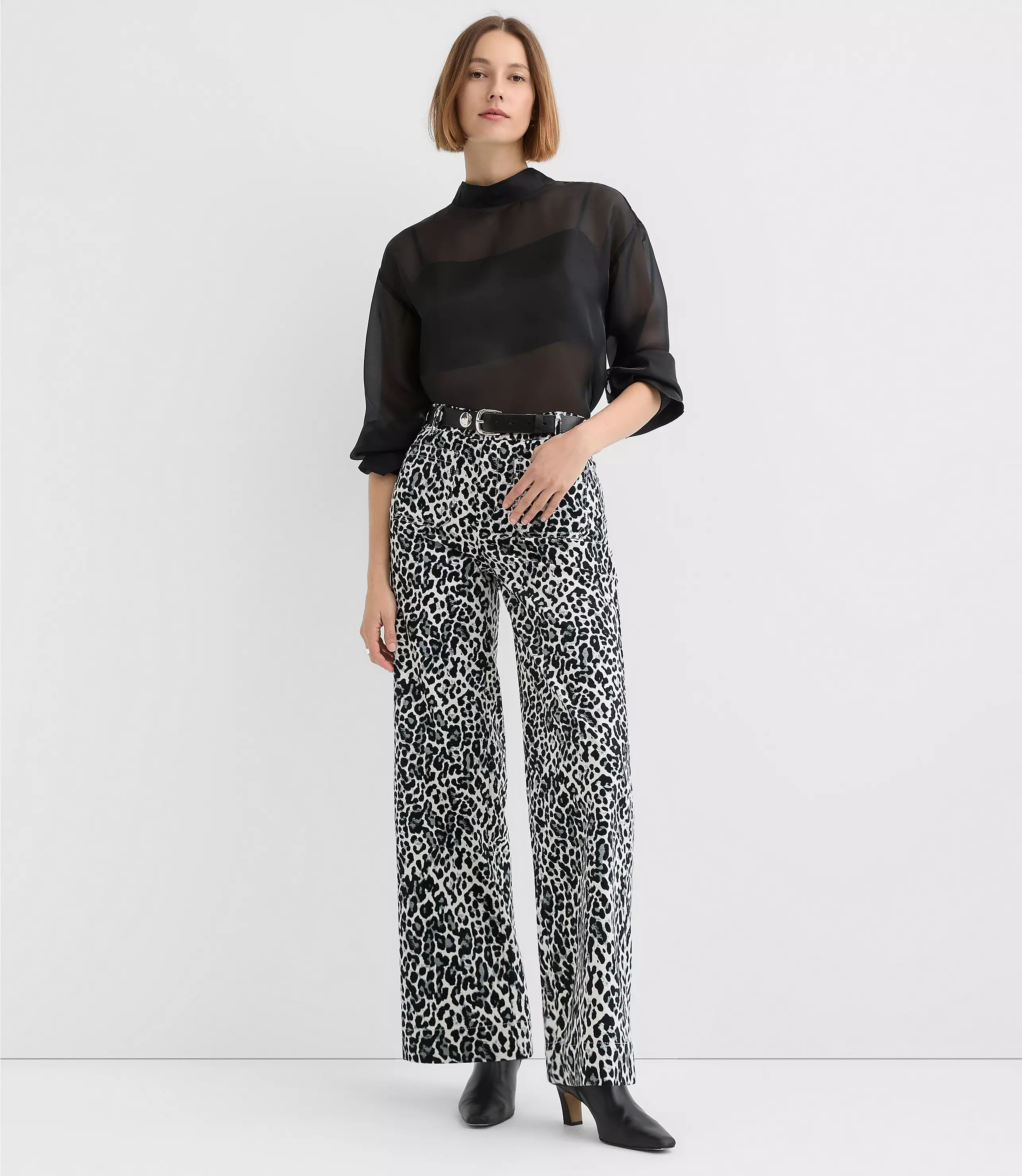 Palmer Wide Leg Pants in Leopard Print Velvet | LOFT