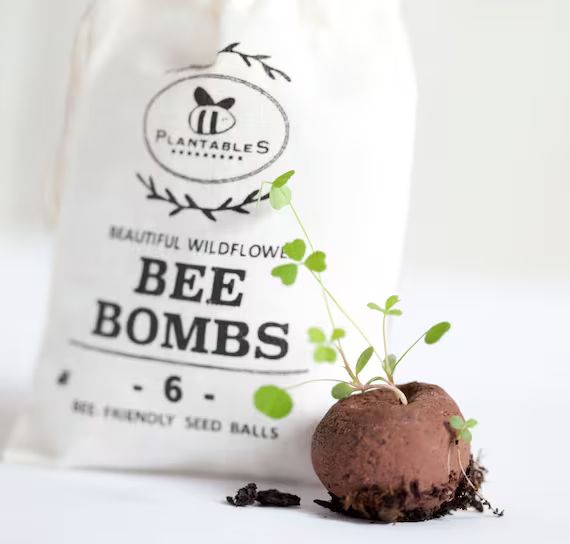 Bee Bombs, bag of 6 seed balls for pollinators | Etsy (US)