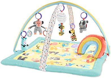 Skip Hop ABC & Me Grow & Play Baby Play Mat & Infant Activity Gym, Multi | Amazon (US)