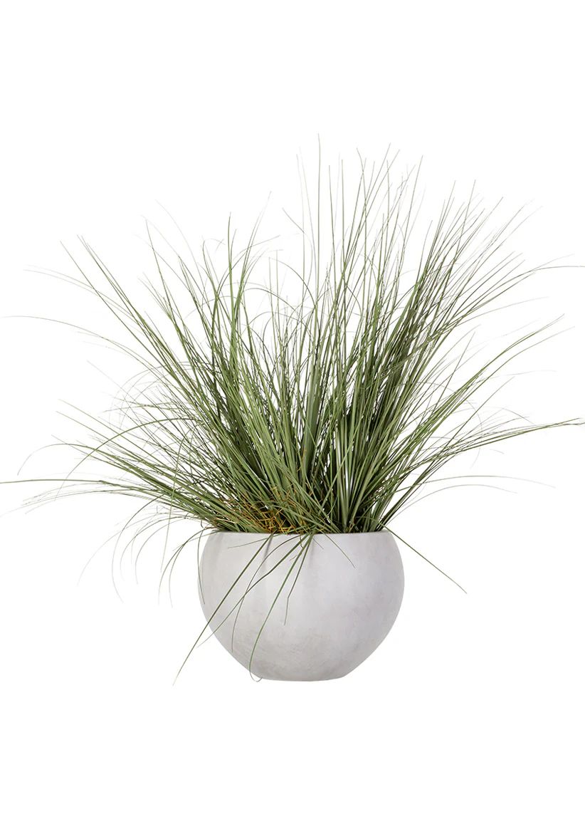 Artificial Potted Grass Plant in Cement Pot - 44" For Indoor/Covered Outdoor Patio | Afloral