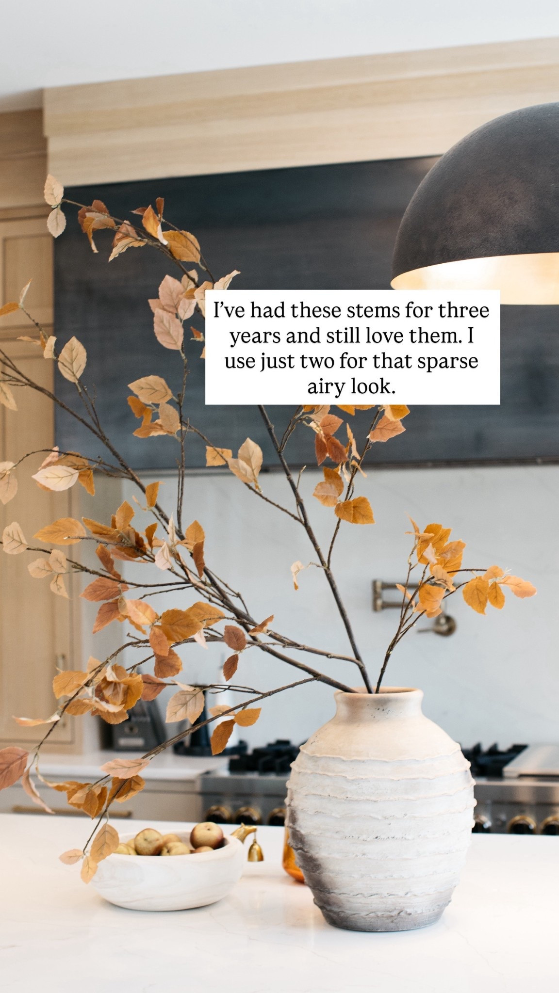 These faux stems are one of my favorites. I styled two here for a sparse airy look. Linking a few more of my faves.

#LTKStyleTip #LTKHome #LTKSeasonal