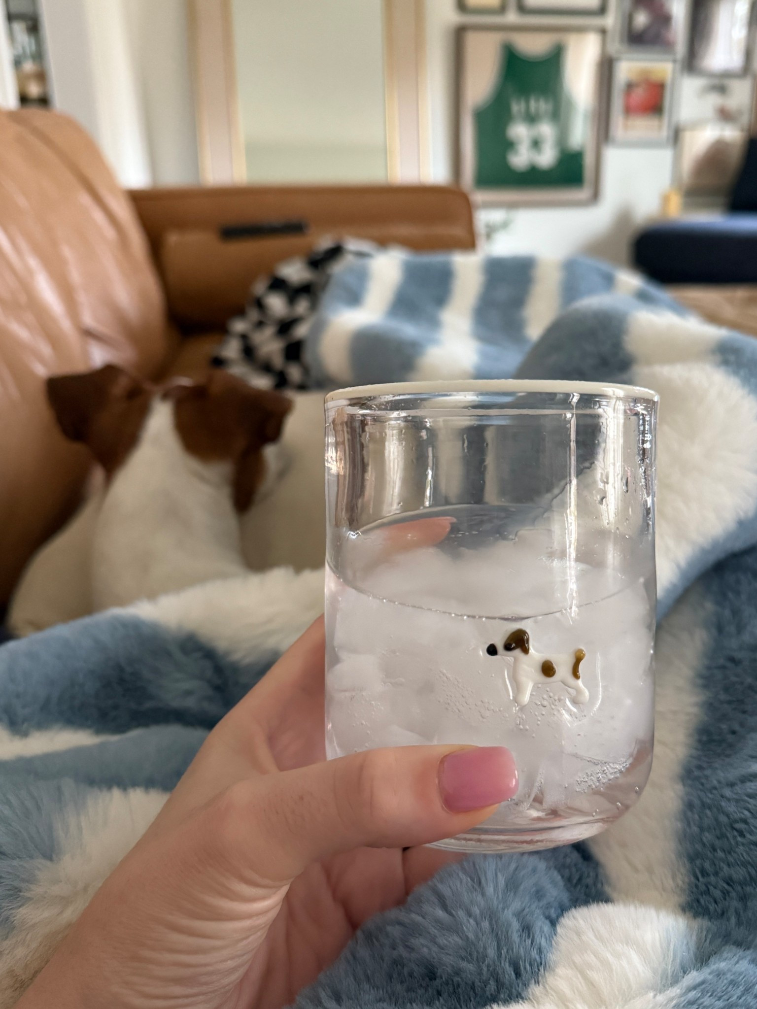 when Anthropologie makes an icon glass that is a clone of your Jack Russell, you buy it!

#LTKPets #LTKHome #LTKSeasonal
