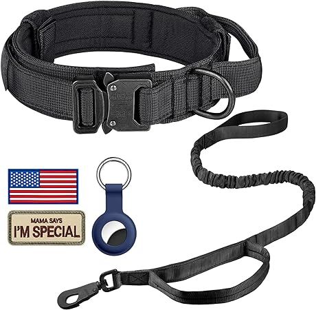 DAGANXI Tactical Dog Collar, Adjustable Military Training Nylon Dog Collar with Control Handle an... | Amazon (US)