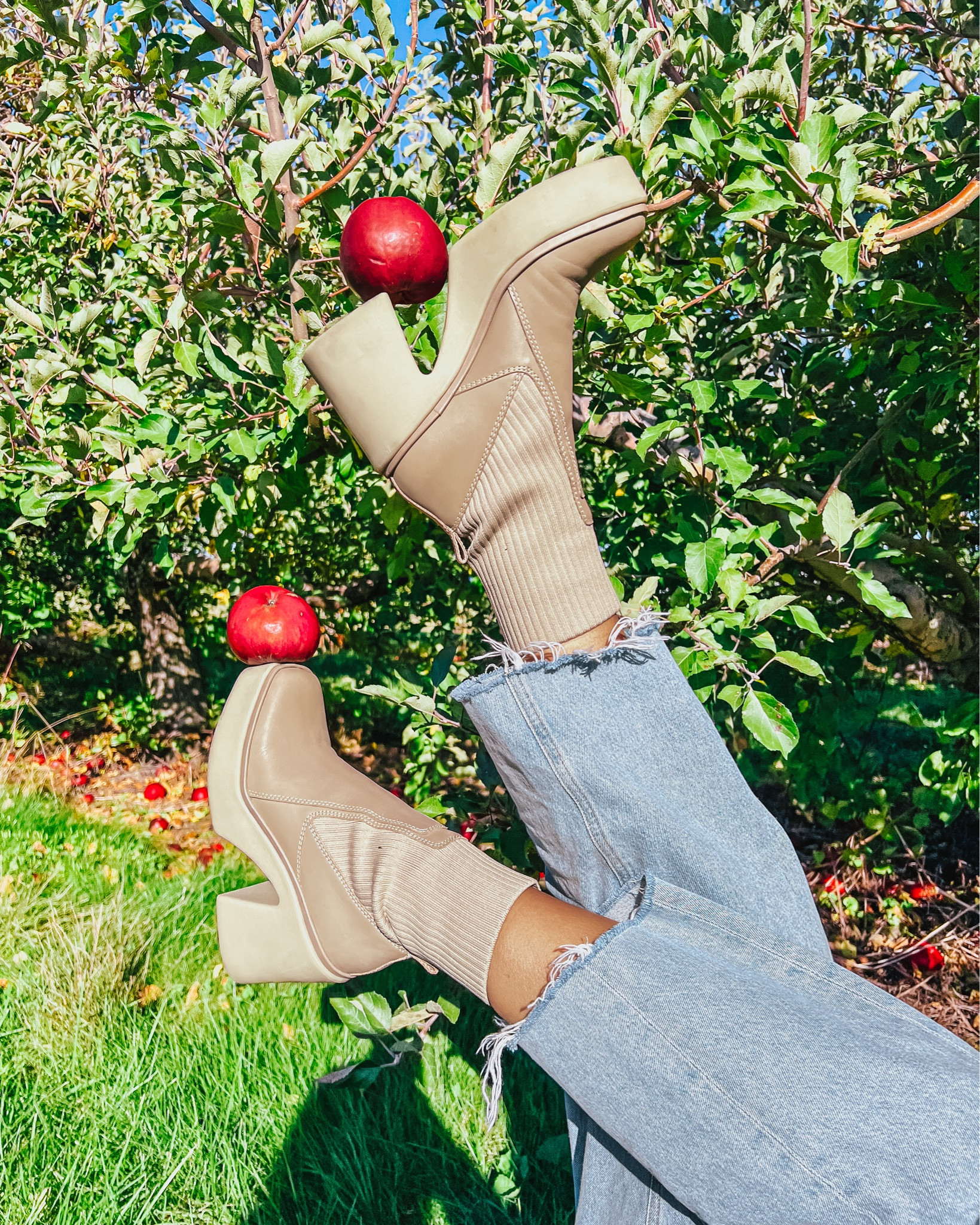 Boots for Fall

#LTKSeasonal #LTKshoecrush #LTKstyletip