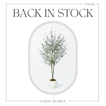 RESTOCK ALERT - the studio McGee for target olive tree is back in stock!! 

Amazon, Home, Console, Look for Less, Living Room, Bedroom, Dining, Kitchen, Modern, Restoration Hardware, Arhaus, Pottery Barn, Target, Style, Home Decor, Summer, Fall, New Arrivals, CB2, Anthropologie, Urban Outfitters, Inspo, Inspired, West Elm, Console, Coffee Table, Chair, Rug, Pendant, Light, Light fixture, Chandelier, Outdoor, Patio, Porch, Designer, Lookalike, Art, Rattan, Cane, Woven, Mirror, Arched, Luxury, Faux Plant, Tree, Frame, Nightstand, Throw, Shelving, Cabinet, End, Ottoman, Table, Moss, Bowl, Candle, Curtains, Drapes, Window Treatments, King, Queen, Dining Table, Barstools, Counter Stools, Charcuterie Board, Serving, Rustic, Bedding, Farmhouse, Hosting, Vanity, Powder Bath, Lamp, Set, Bench, Ottoman, Faucet, Sofa, Sectional, Crate and Barrel, Neutral, Monochrome, Abstract, Print, Marble, Burl, Oak, Brass, Linen, Upholstered, Slipcover, Olive, Sale, Fluted, Velvet, Credenza, Sideboard, Buffet, Budget, Friendly, Affordable, Texture, Vase, Boucle, Stool, Office, Canopy, Frame, Minimalist, MCM, Bedding, Duvet, Rust

#LTKhome #LTKstyletip #LTKSeasonal