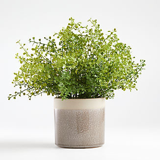 Faux Potted Greenery + Reviews | Crate & Barrel | Crate & Barrel