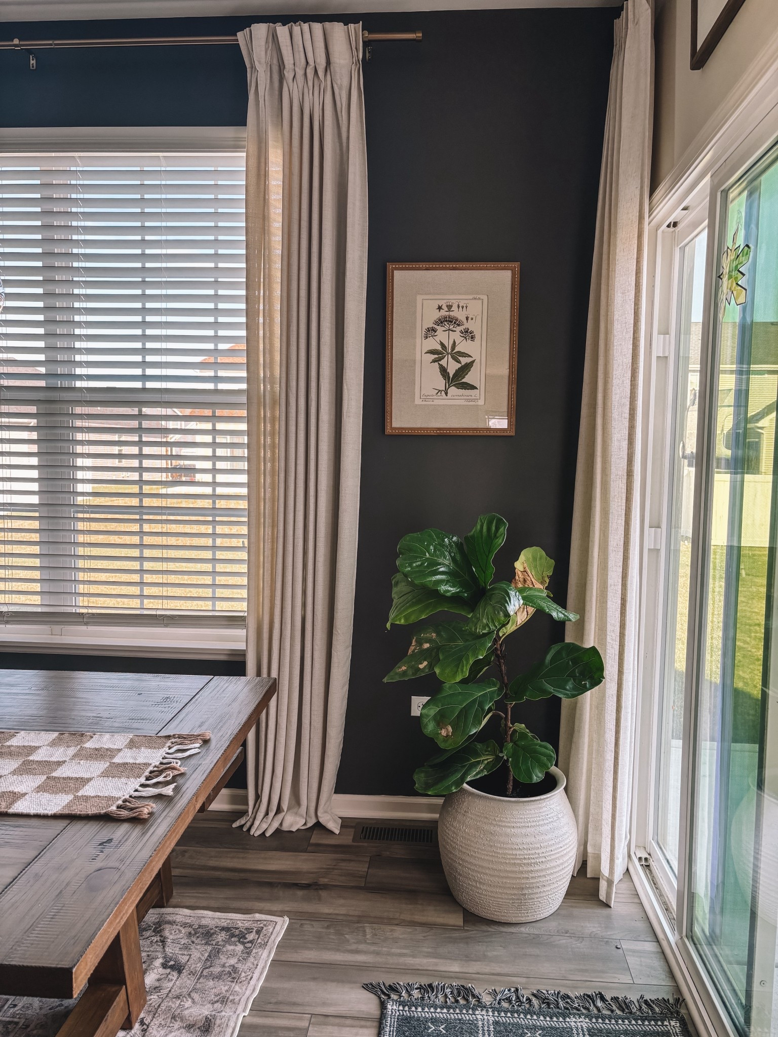 Planter pot. Fiddle leaf  