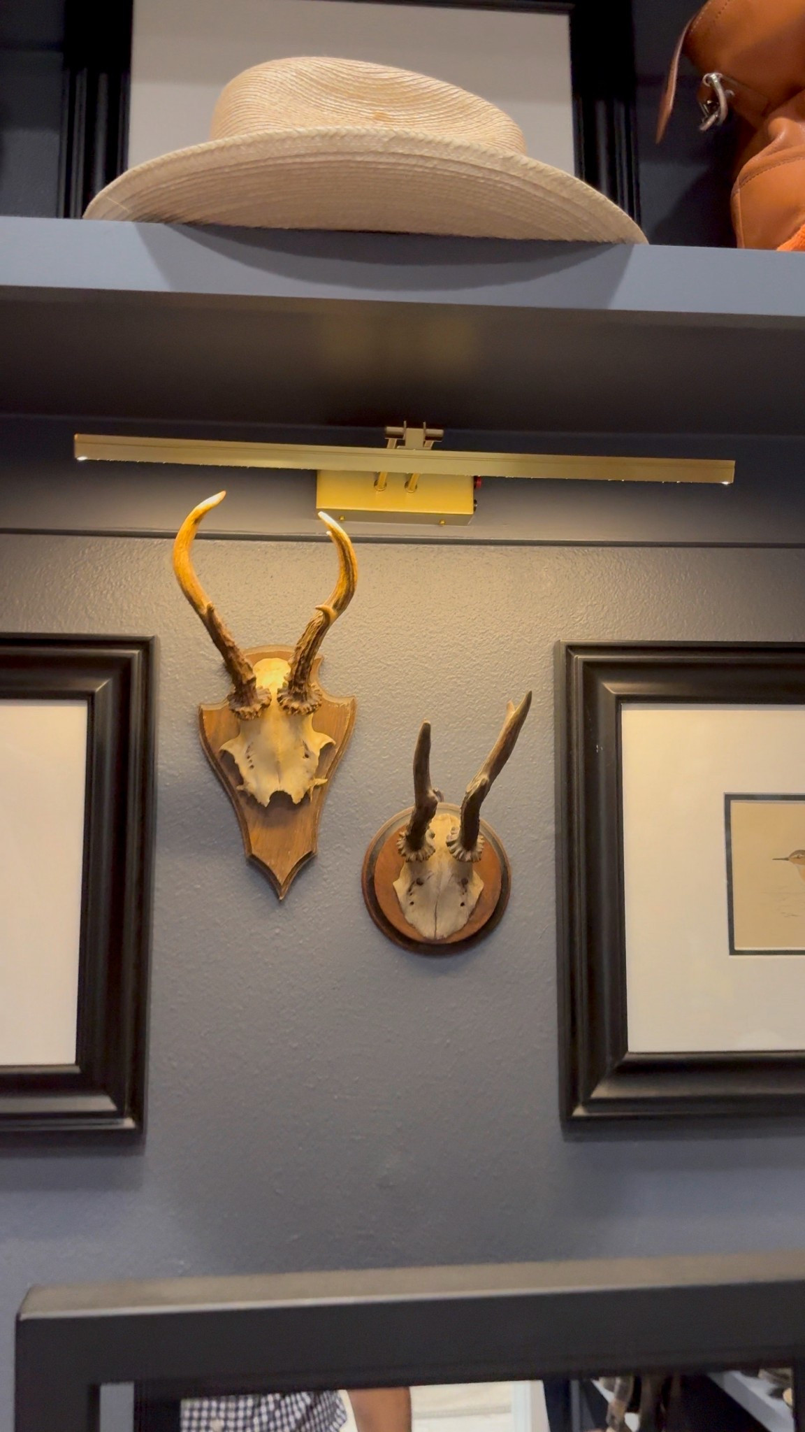 Here are the picture lamps I use in my closet  

#LTKHome #LTKSaleAlert