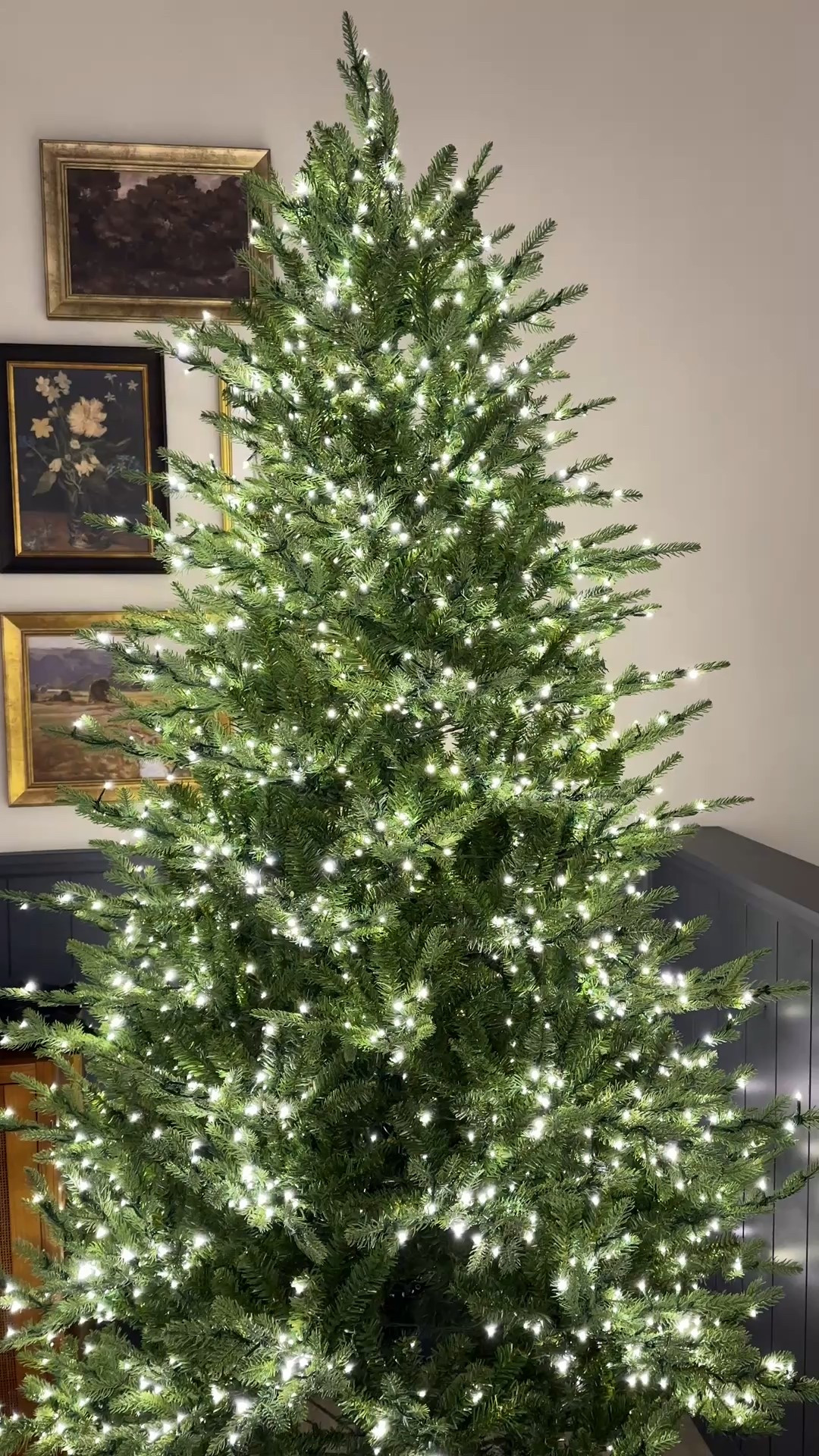 The viral Home Depot Christmas tree is sooo worth the hype! I snagged mine for local pickup since shipping was out of stock! 

Twinkle tree, Christmas decor, Christmas tree, 7.5 ft grand duchess twinkle balsam fir, prelit tree

#LTKHoliday #LTKHome #LTKSeasonal