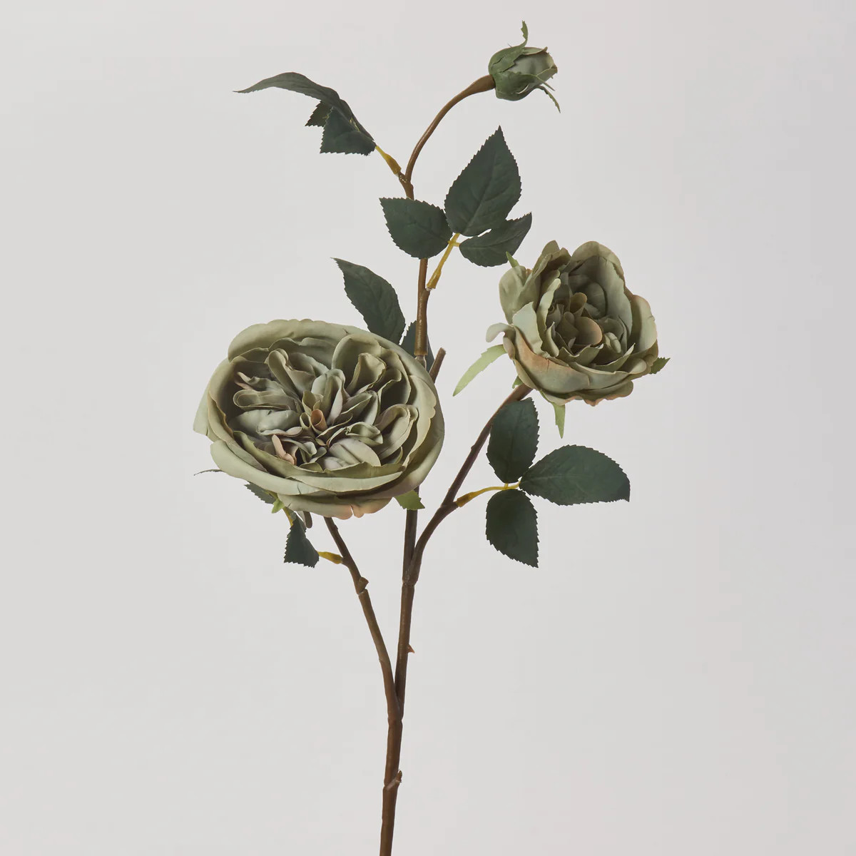 Pistachio Green Silk Rose Bloom & Bud Faux Floral Stem Spray - 30" | Darby Creek Trading