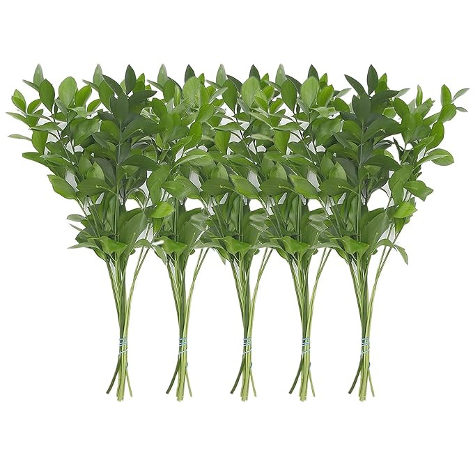 Rumhora Greens | (1) One Bunch of Fresh and Natural Israeli Ruscus | Pack of 10 Stems in Each Bun... | Amazon (US)