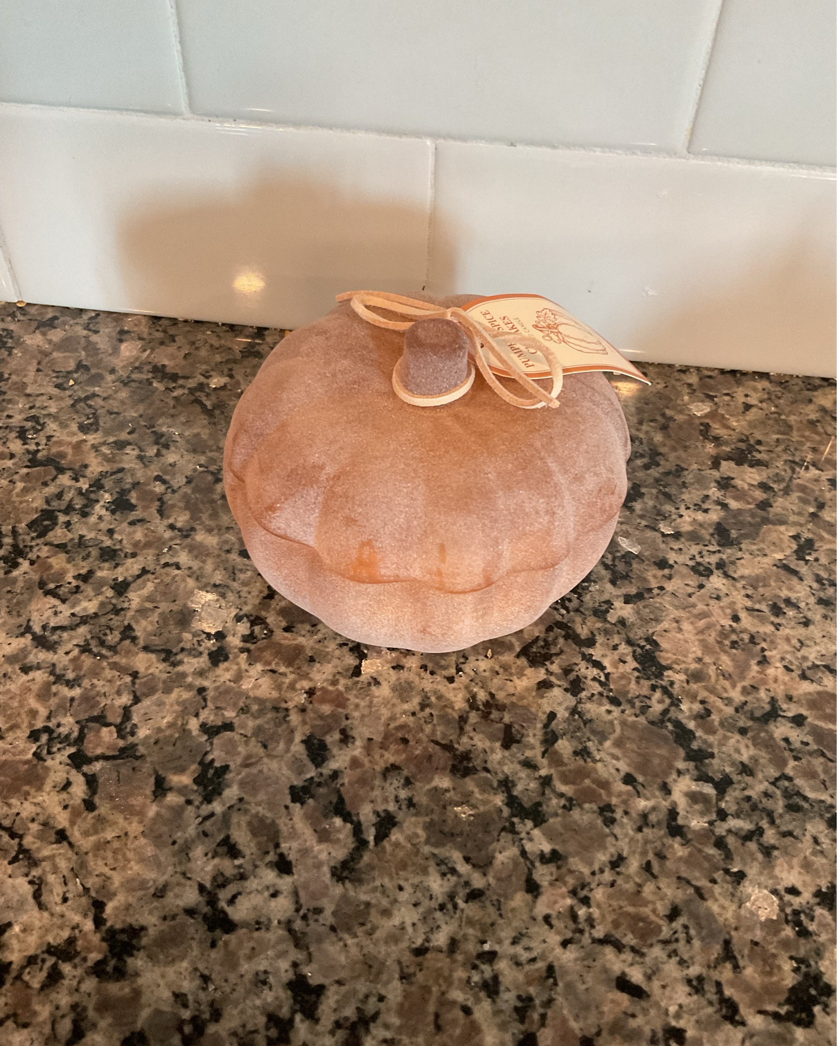 Fall Target find🎃