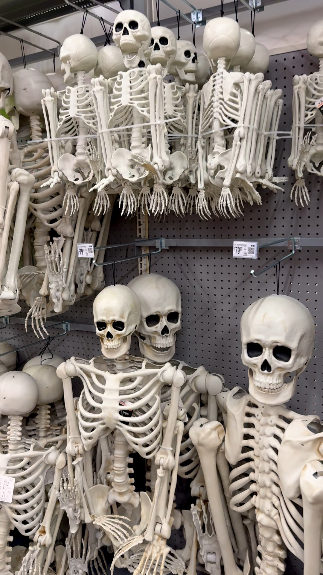 These skeletons are so fun and affordable! 

#LTKFallSale #LTKHome #LTKSeasonal