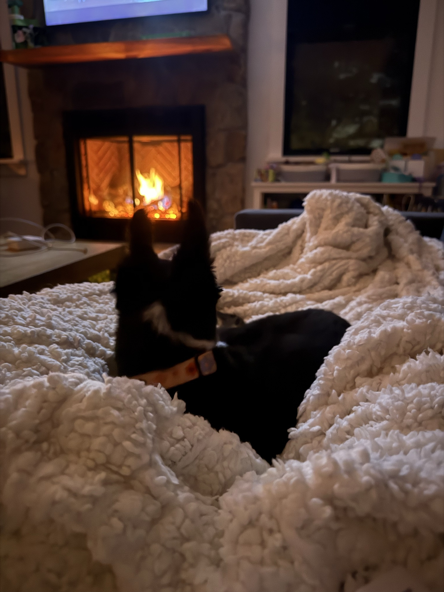 Cozy winter nights in. A fire place and a heated blanket are always a must. 

#LTKHome #LTKSeasonal #LTKPetite
