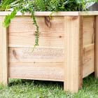 The McGarvey Workshop Cedar Planter | West Elm (US)