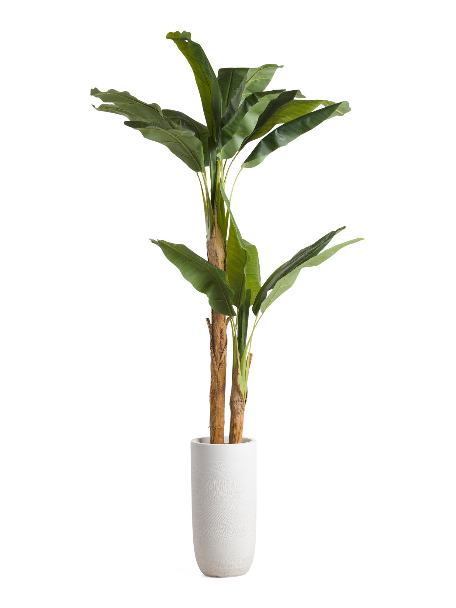 6ft Banana Tree | TJ Maxx