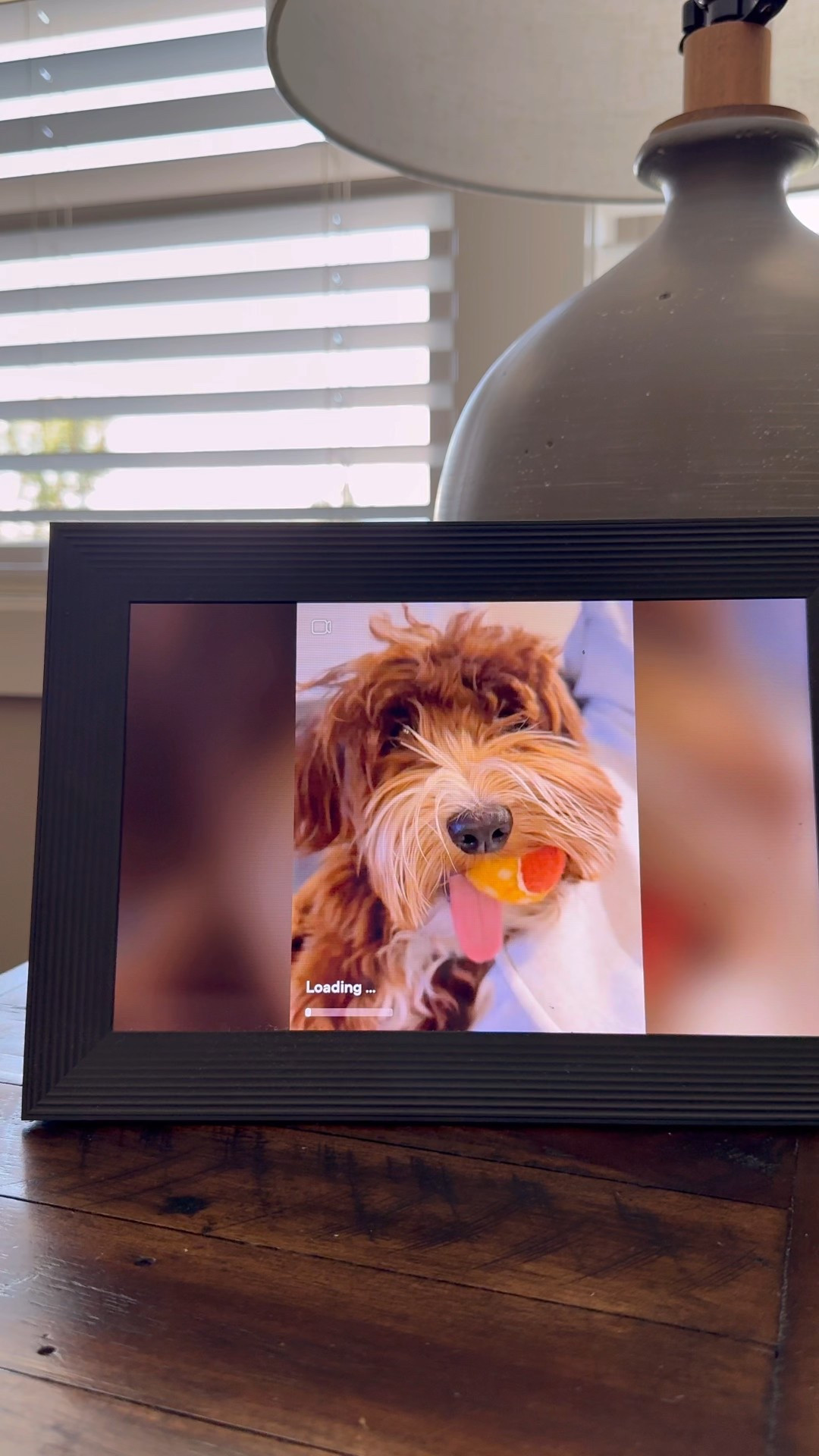 Top gift on sale! We got this digital frame for my dad a few years ago and it's still a hit! All of my siblings have access to the app, so we can share photos to it. It's so fun to watch while we are over as there are always new photos. The best way to share memories! 



#LTKGiftGuide #LTKCyberWeek