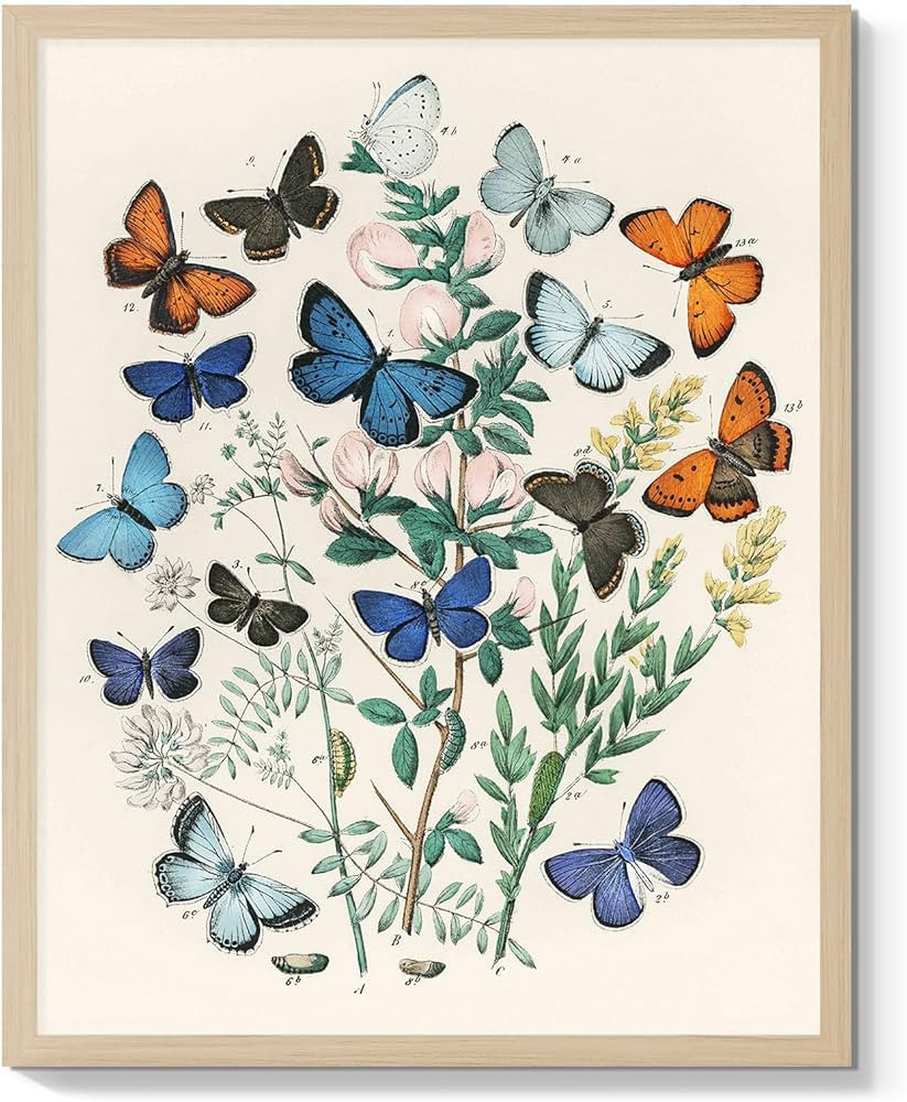 Eclectic Wall Decor Vintage Art Print Butterfly Wall Painting Canvas Wall Art Minimalism Decor Bo... | Amazon (US)