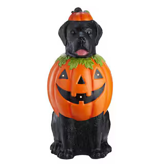 2.5 ft. Battery Operated Halloween Classics LED Labrador in Pumpkin Costume Halloween Porch Greet... | The Home Depot