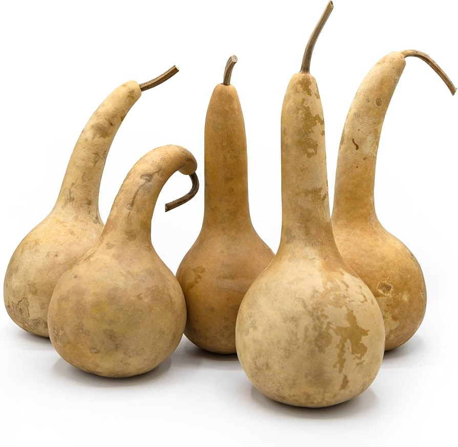Box of 5 Dried Dipper Gourds - 3.5" Diameter, Ready for Crafting and Decorating | Amazon (US)