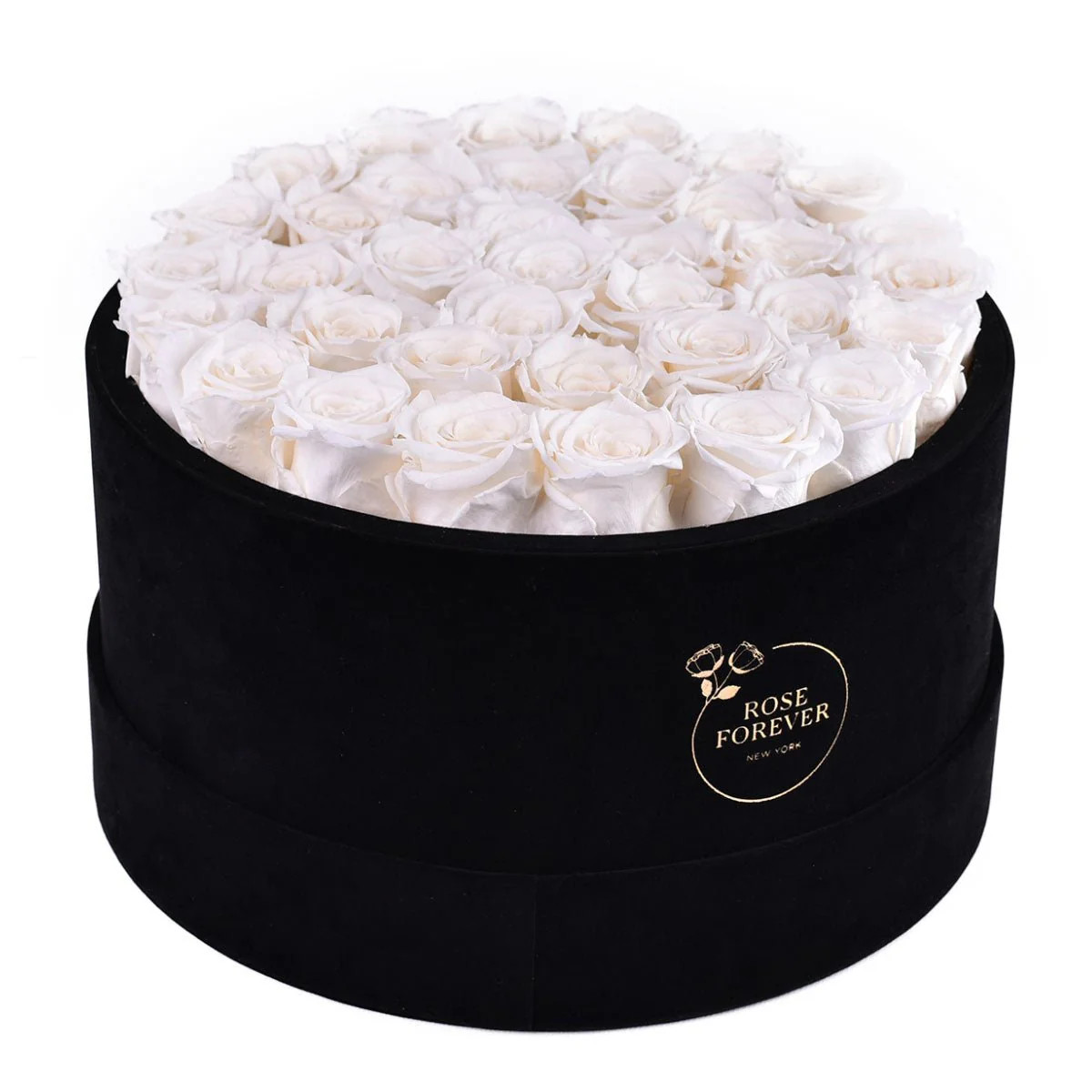 36 White Roses - Black Round Velvet Box | Rose Forever 