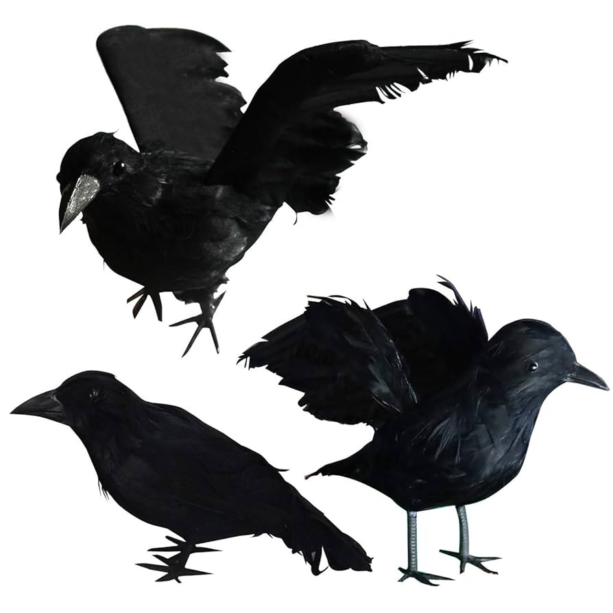 FUNPENY Halloween Black Feathered Crows, 3 Pack Black Crows with Real Feather Halloween Decoratio... | Amazon (US)