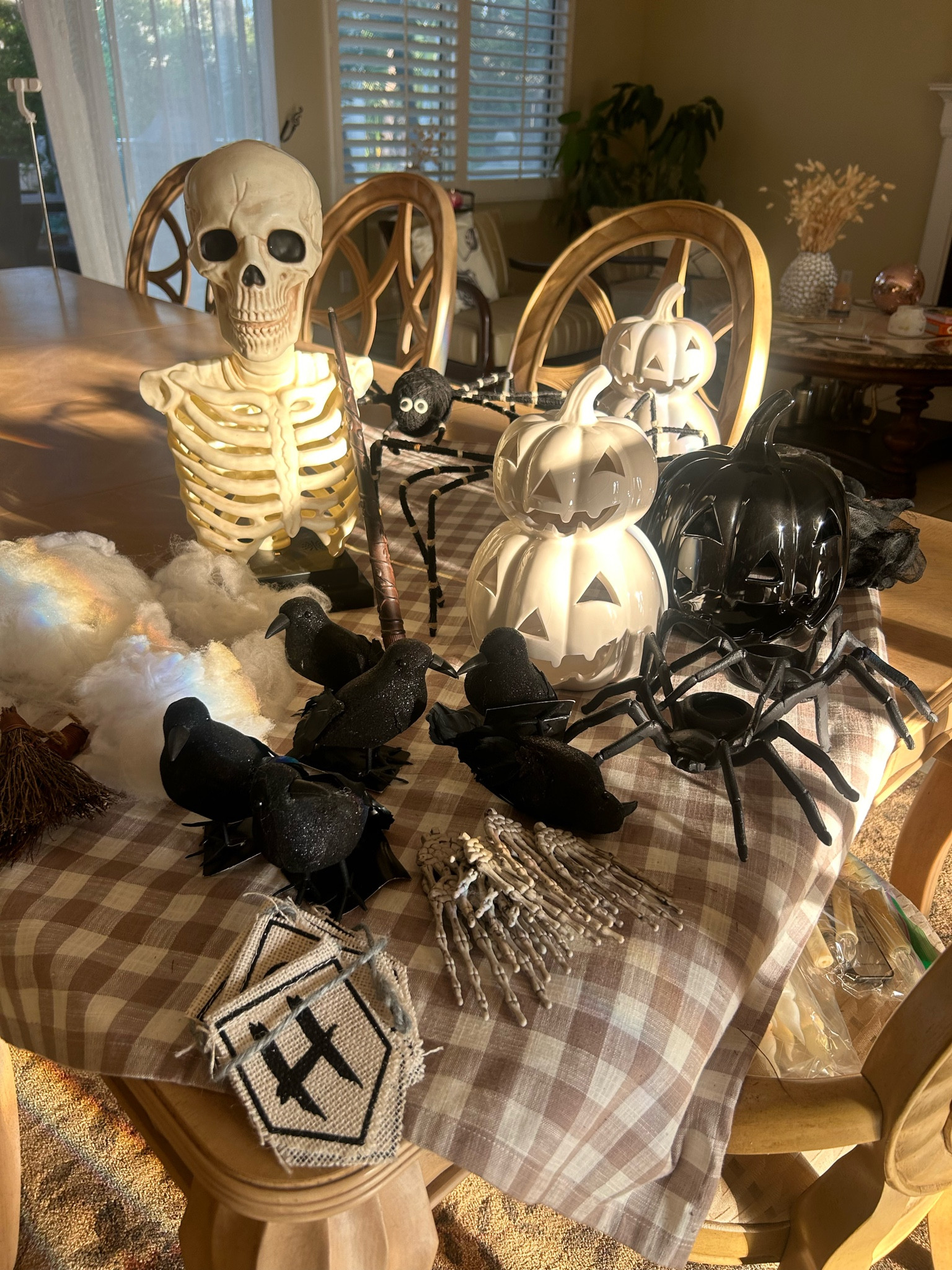A sneak peek at my collectionn

#LTKSeasonal #LTKHome #LTKHalloween