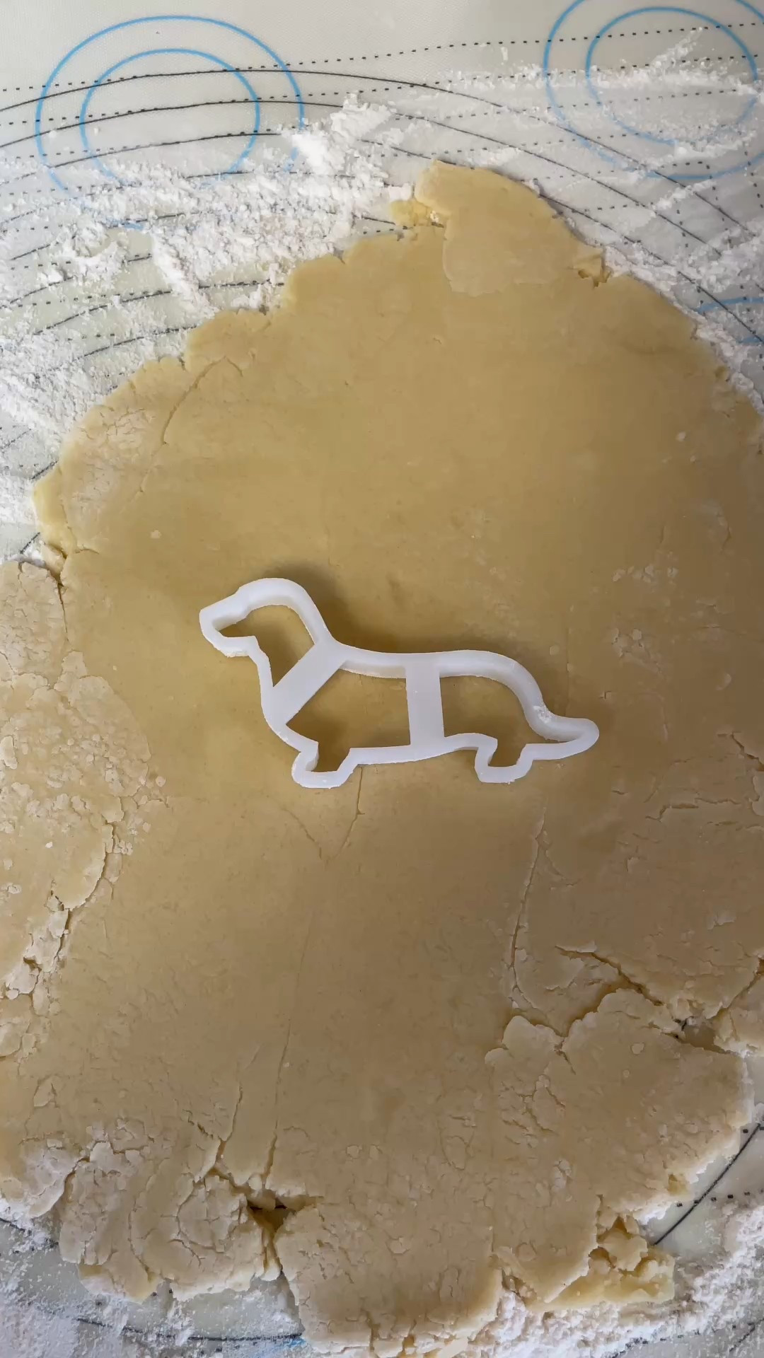 I finally got to try my new dachshund cookie cutter. It made some adorable and delicious doxie cookies. Love it! 💖🐾

#LTKActive #LTKPets #LTKHome