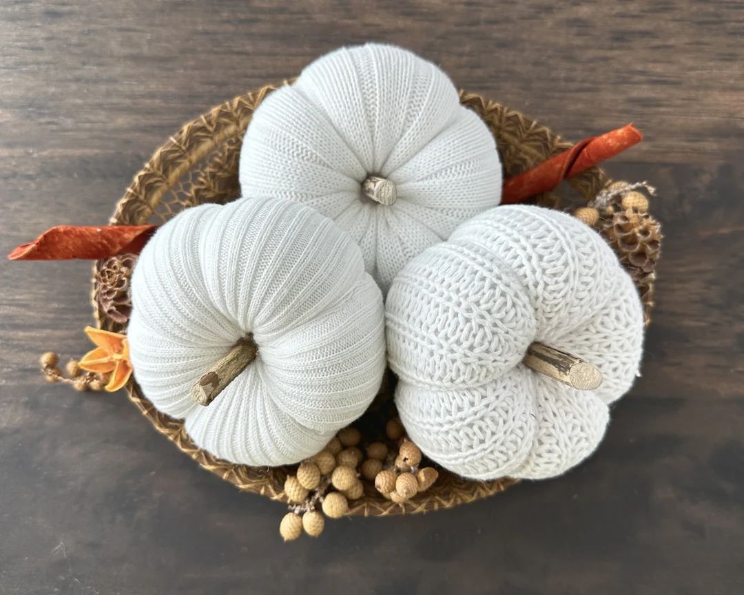 Cream and White Up-cycled Sweater Pumpkins for Fall Decor and - Etsy | Etsy (US)