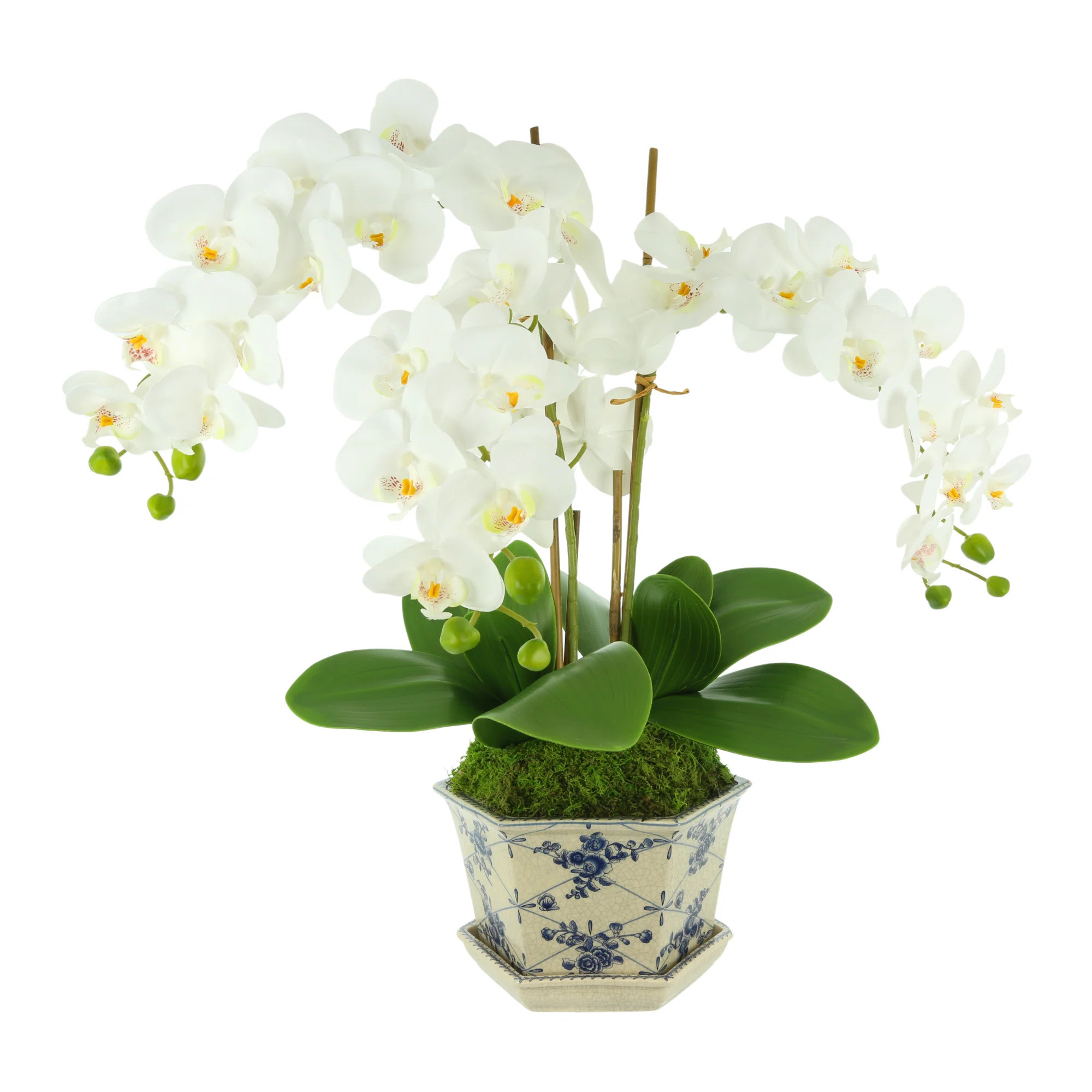 Orchid Arrangement in Vase | Wayfair North America