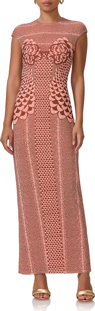 Cody Print Cap Sleeve Mesh Maxi Dress | Nordstrom