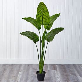 Faux Travelers Palm Tree | Pottery Barn Teen