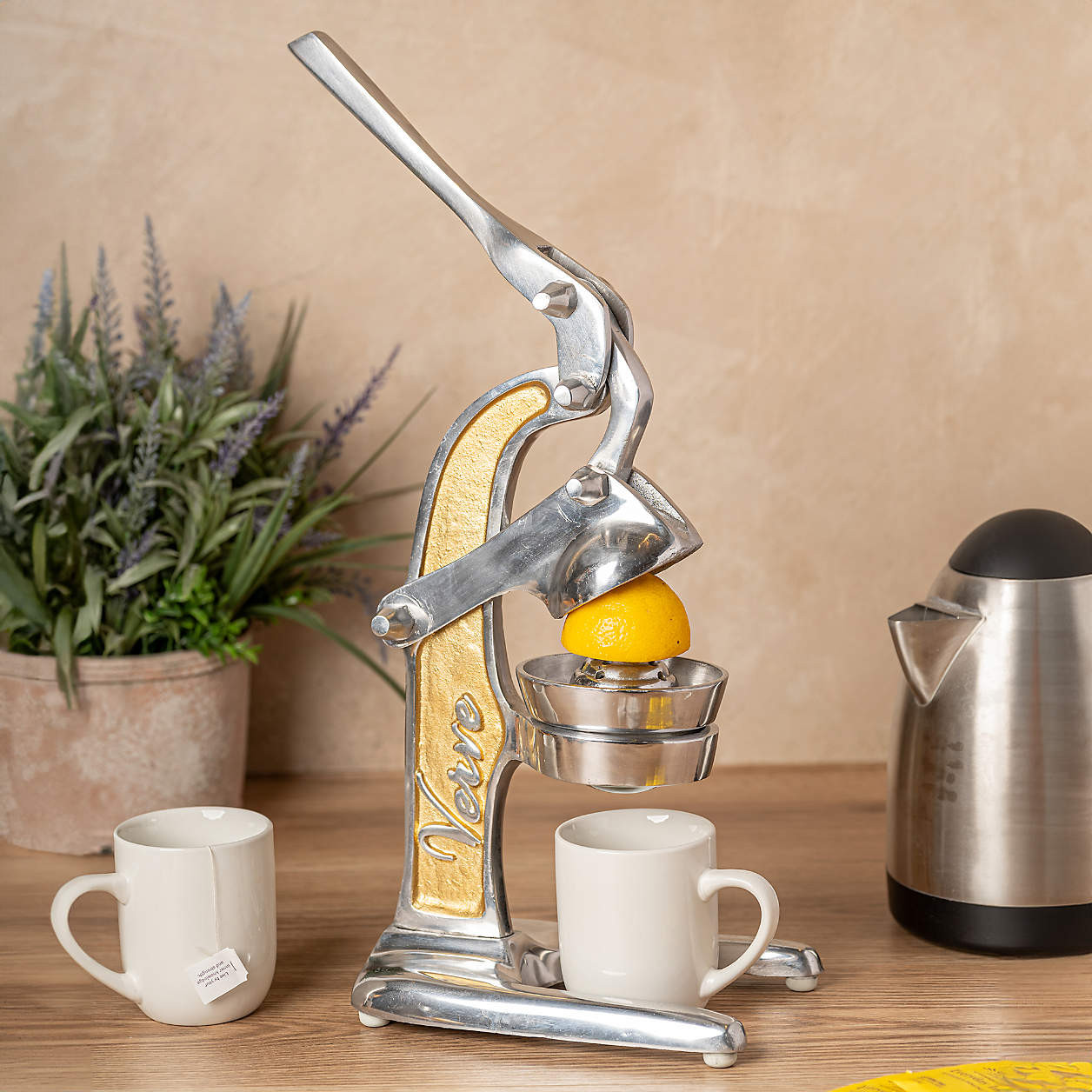 Verve Culture Artisan Gold Citrus Juicer + Reviews | Crate & Barrel | Crate & Barrel