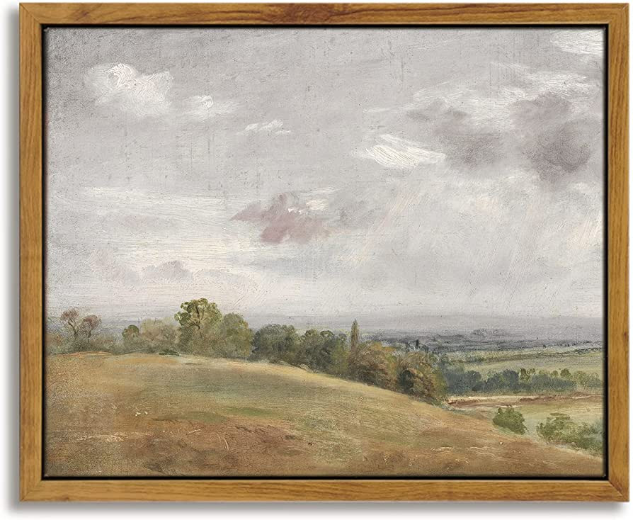 InSimSea Framed Canvas Prints Wall Art Home Decor, White Clouds over Vast Grassland Classical Pai... | Amazon (US)