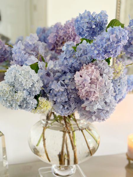 This beautiful vase from House of Blum is the perfect vessel for these hydrangeas. It’s actually listed as a candle hurricane, so you get a two for one deal 😉

#LTKFindsUnder100 #LTKHome