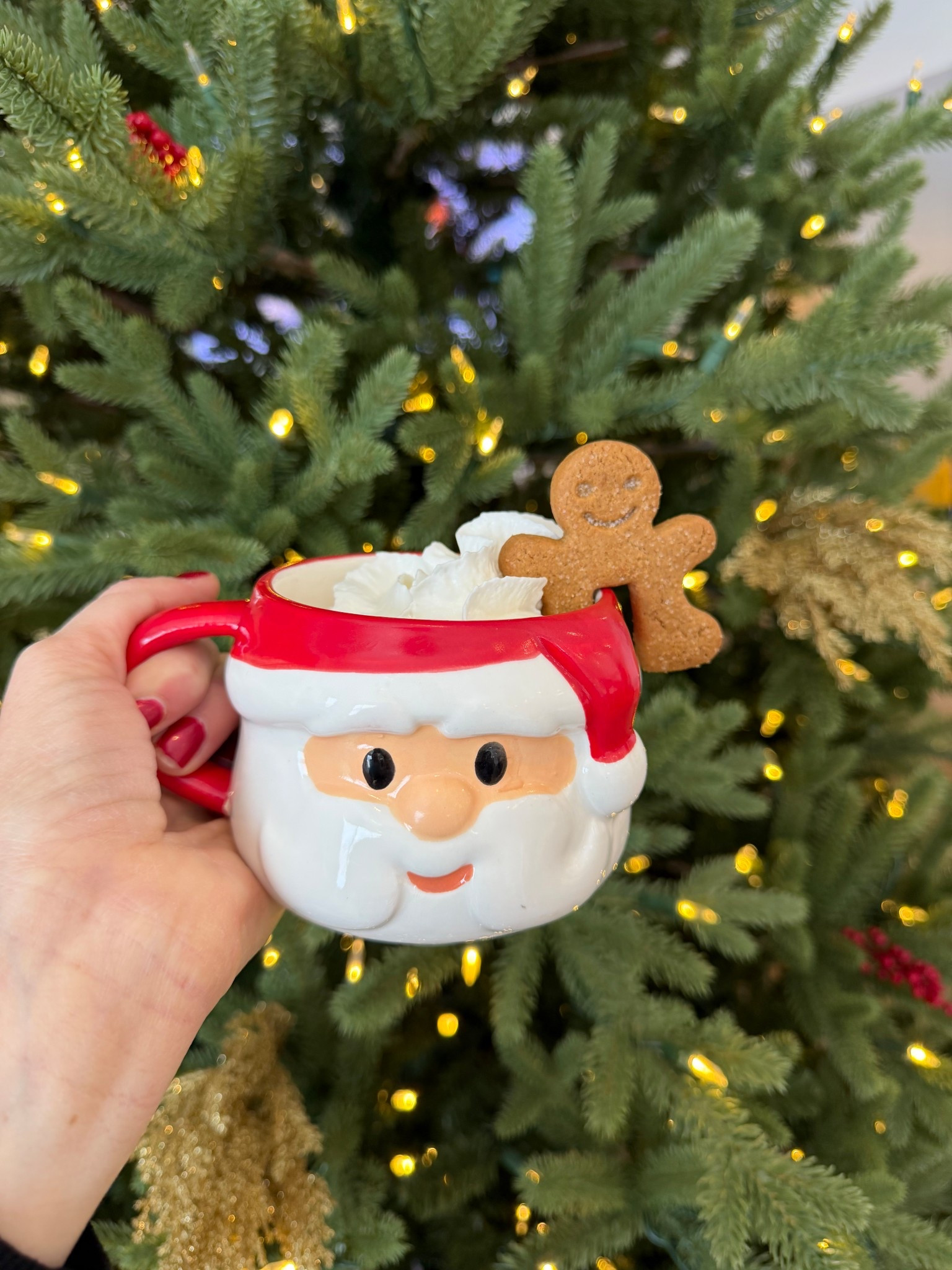 Christmas hot chocolate mugs with gingerbread mug toppers

#LTKHome #LTKHoliday #LTKGiftGuide