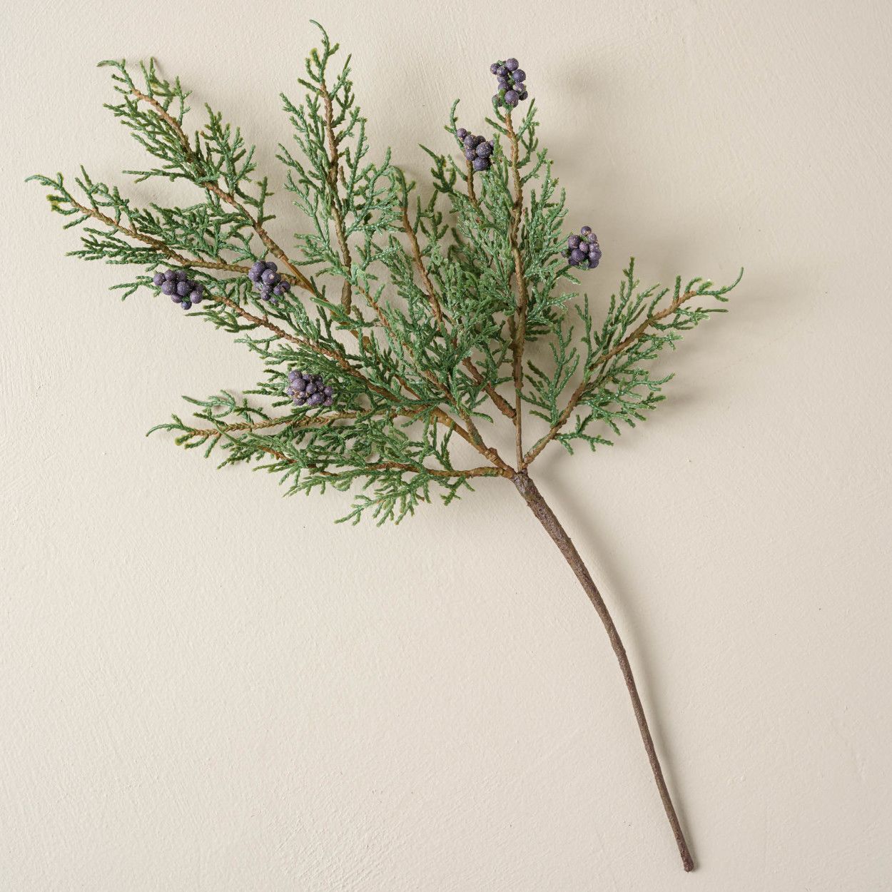 Juniper and Pine Pick | Magnolia