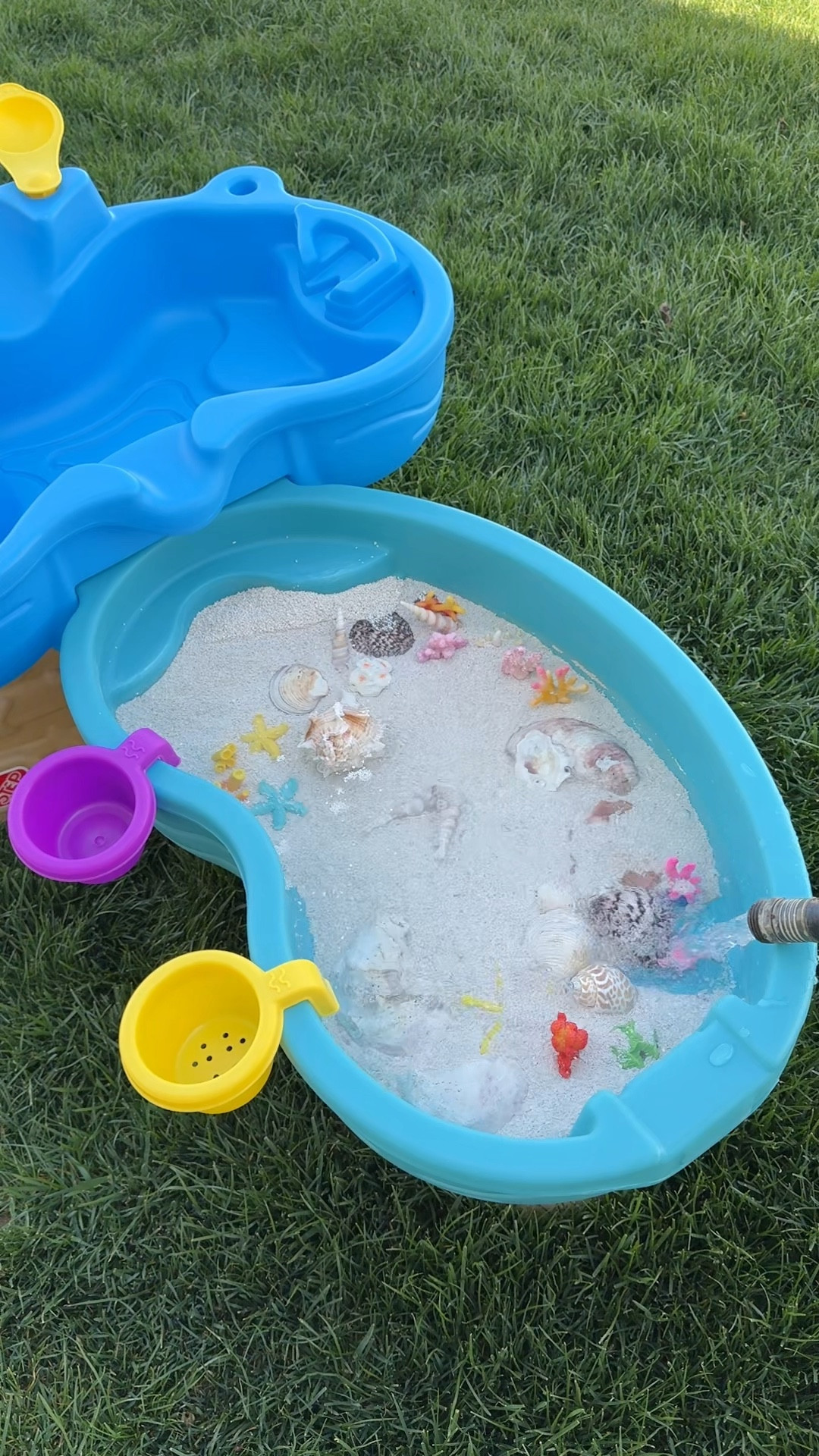 Here is a fun water table to try with your kids! A tide pool water table! 

#amazonfind #toysforkids #craftymom￼

#LTKmomlife #LTKBaby #LTKKids