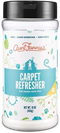 Aunt Fannie's Carpet Refresher, Odor Neutralizing Powder for Homes with Children or Pets (Bright ... | Amazon (US)