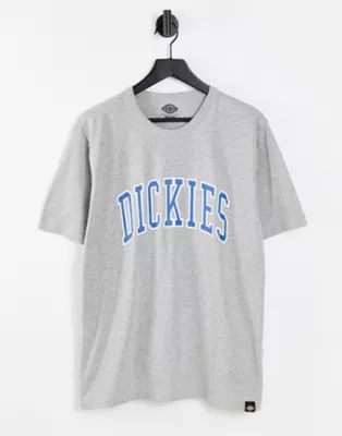Dickies Aitkin t-shirt in grey | ASOS (Global)