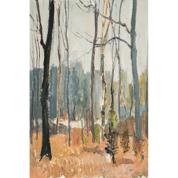 FOREST | Juniper Print Shop