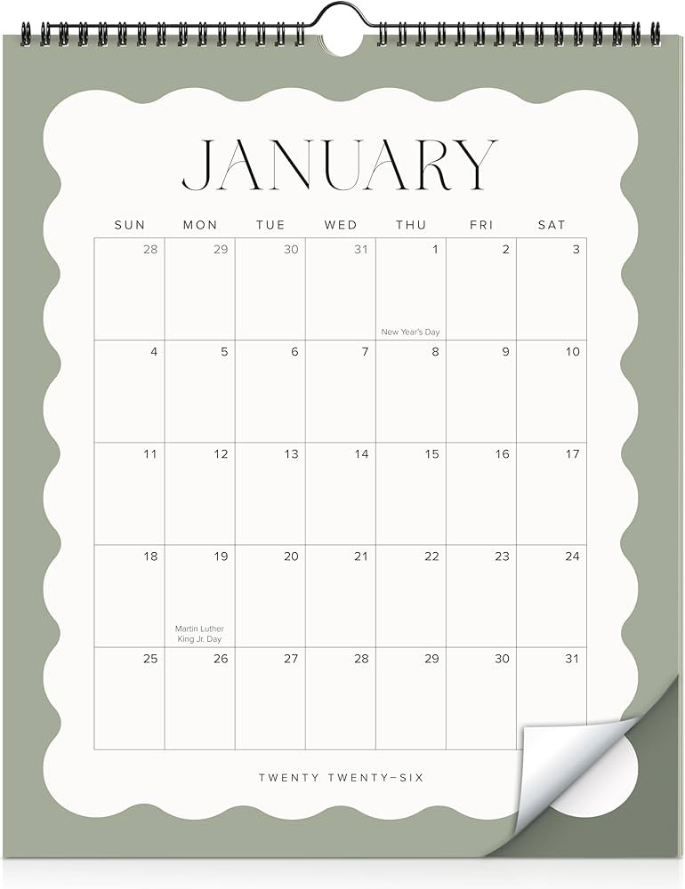 Aesthetic 2026 Wall Calendar - Runs from January 2026 Until July 2027 - The Perfect Large Modern ... | Amazon (US)